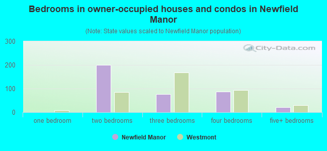 Bedrooms in owner-occupied houses and condos in Newfield Manor
