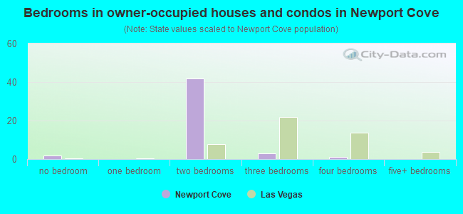 Bedrooms in owner-occupied houses and condos in Newport Cove