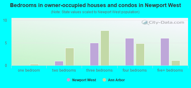 Bedrooms in owner-occupied houses and condos in Newport West