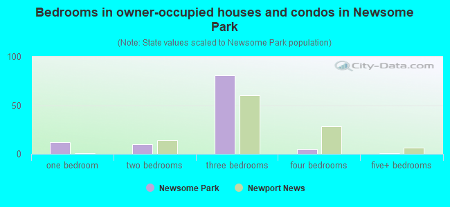 Bedrooms in owner-occupied houses and condos in Newsome Park