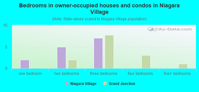 Bedrooms in owner-occupied houses and condos in Niagara Village