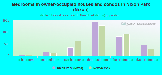 Bedrooms in owner-occupied houses and condos in Nixon Park (Nixon)
