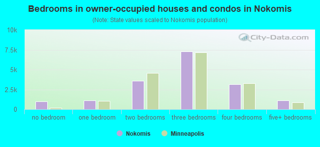 Bedrooms in owner-occupied houses and condos in Nokomis