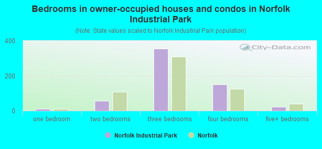 Bedrooms in owner-occupied houses and condos in Norfolk Industrial Park