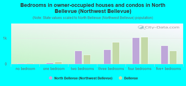 Bedrooms in owner-occupied houses and condos in North Bellevue (Northwest Bellevue)