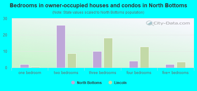 Bedrooms in owner-occupied houses and condos in North Bottoms