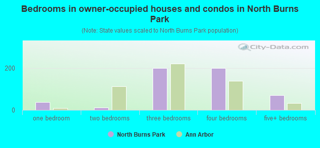 Bedrooms in owner-occupied houses and condos in North Burns Park