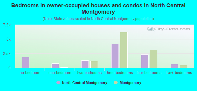 Bedrooms in owner-occupied houses and condos in North Central Montgomery