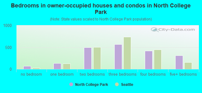 Bedrooms in owner-occupied houses and condos in North College Park