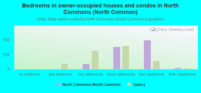 Bedrooms in owner-occupied houses and condos in North Commons (North Common)