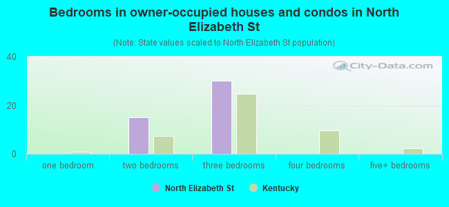 Bedrooms in owner-occupied houses and condos in North Elizabeth St