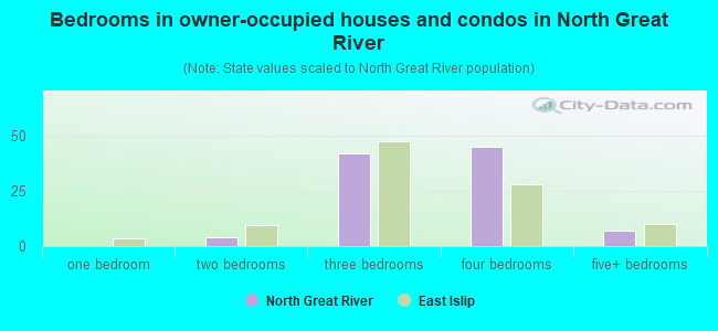 Bedrooms in owner-occupied houses and condos in North Great River