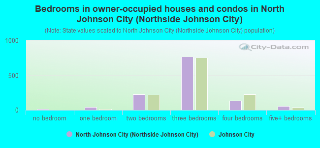 Bedrooms in owner-occupied houses and condos in North Johnson City (Northside Johnson City)