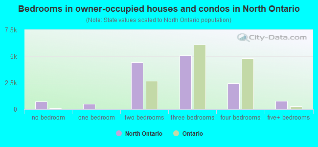 Bedrooms in owner-occupied houses and condos in North Ontario