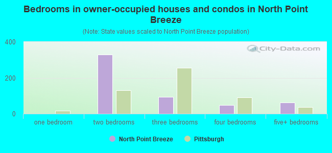 Bedrooms in owner-occupied houses and condos in North Point Breeze