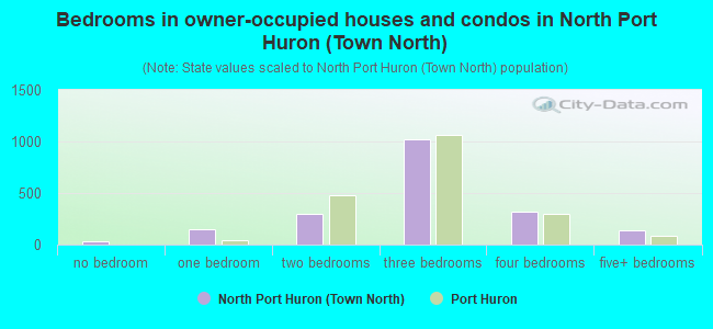 Bedrooms in owner-occupied houses and condos in North Port Huron (Town North)