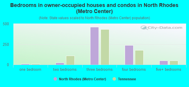 Bedrooms in owner-occupied houses and condos in North Rhodes (Metro Center)