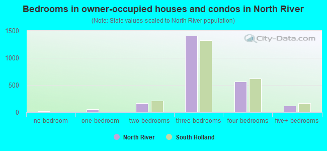 Bedrooms in owner-occupied houses and condos in North River