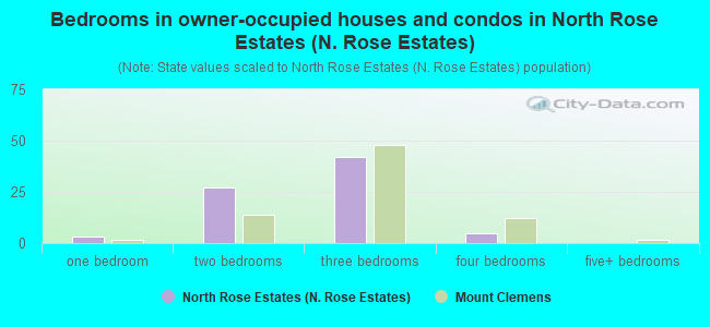 Bedrooms in owner-occupied houses and condos in North Rose Estates (N. Rose Estates)