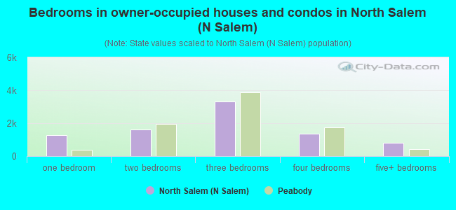 Bedrooms in owner-occupied houses and condos in North Salem (N Salem)
