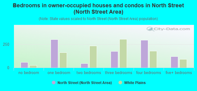 Bedrooms in owner-occupied houses and condos in North Street (North Street Area)