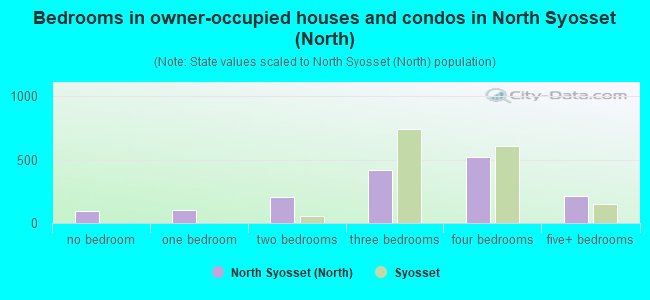 Bedrooms in owner-occupied houses and condos in North Syosset (North)
