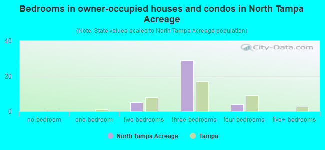 Bedrooms in owner-occupied houses and condos in North Tampa Acreage