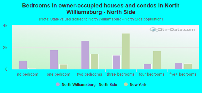 Bedrooms in owner-occupied houses and condos in North Williamsburg - North Side