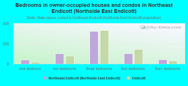 Bedrooms in owner-occupied houses and condos in Northeast Endicott (Northside East Endicott)