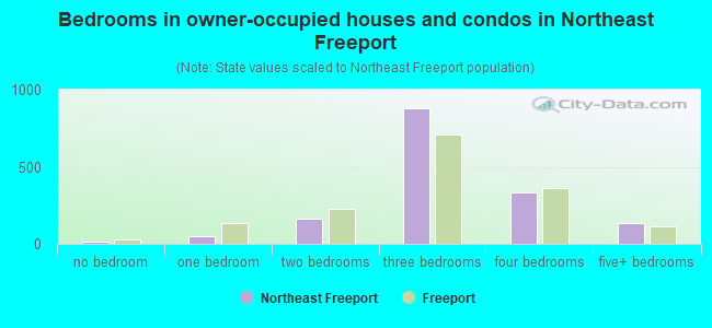 Bedrooms in owner-occupied houses and condos in Northeast Freeport