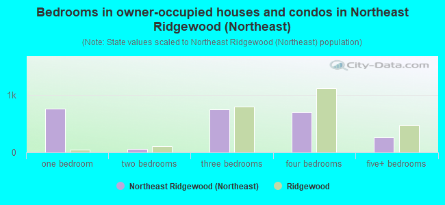 Bedrooms in owner-occupied houses and condos in Northeast Ridgewood (Northeast)