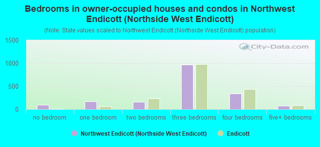 Bedrooms in owner-occupied houses and condos in Northwest Endicott (Northside West Endicott)
