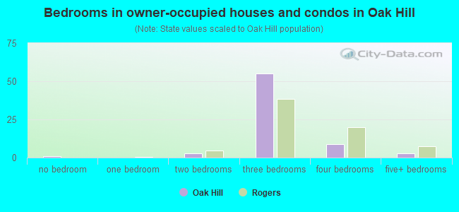Bedrooms in owner-occupied houses and condos in Oak Hill