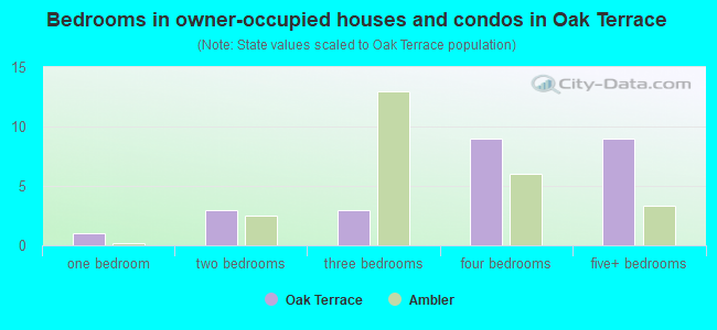 Bedrooms in owner-occupied houses and condos in Oak Terrace