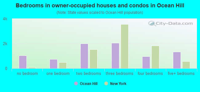 Bedrooms in owner-occupied houses and condos in Ocean Hill