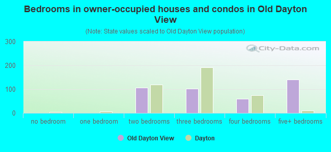 Bedrooms in owner-occupied houses and condos in Old Dayton View