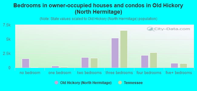 Bedrooms in owner-occupied houses and condos in Old Hickory (North Hermitage)