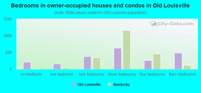 Bedrooms in owner-occupied houses and condos in Old Louisville