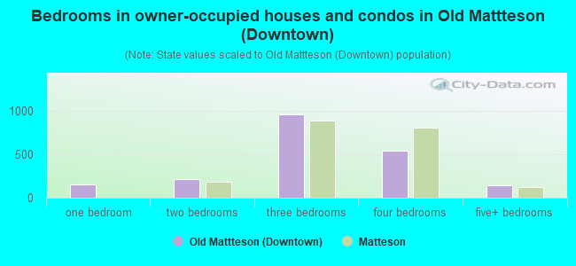 Bedrooms in owner-occupied houses and condos in Old Mattteson (Downtown)