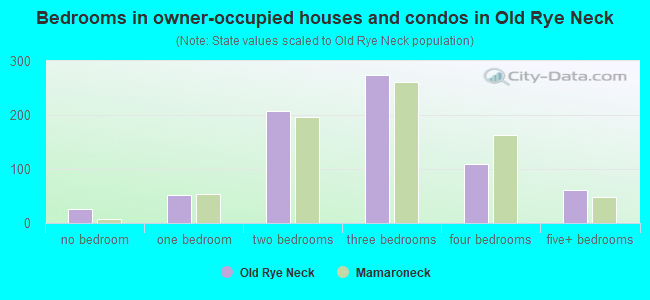 Bedrooms in owner-occupied houses and condos in Old Rye Neck