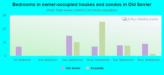 Bedrooms in owner-occupied houses and condos in Old Sevier