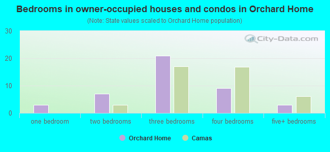 Bedrooms in owner-occupied houses and condos in Orchard Home