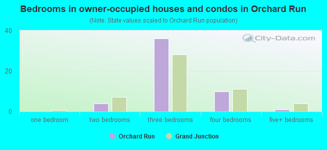 Bedrooms in owner-occupied houses and condos in Orchard Run