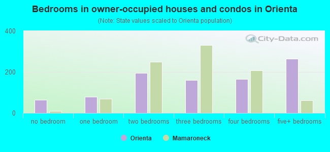 Bedrooms in owner-occupied houses and condos in Orienta
