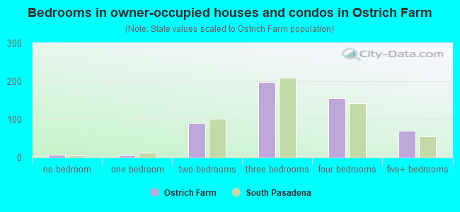 Bedrooms in owner-occupied houses and condos in Ostrich Farm