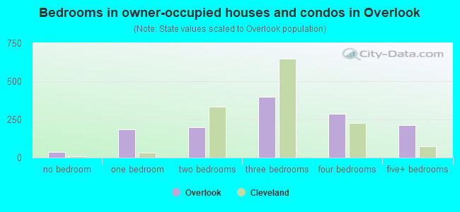 Bedrooms in owner-occupied houses and condos in Overlook