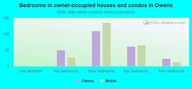 Bedrooms in owner-occupied houses and condos in Owens