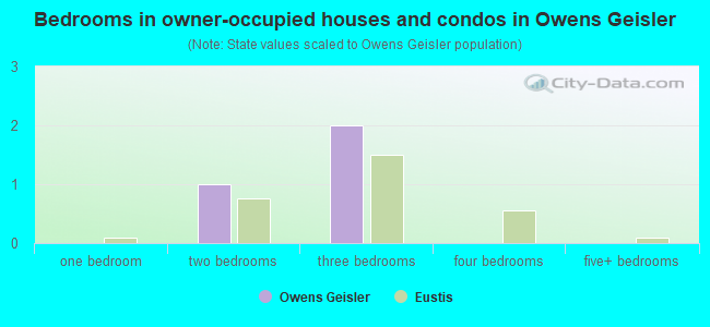 Bedrooms in owner-occupied houses and condos in Owens  Geisler