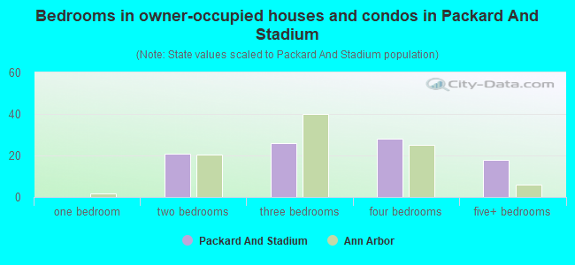 Bedrooms in owner-occupied houses and condos in Packard And Stadium