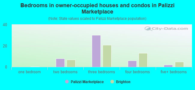 Bedrooms in owner-occupied houses and condos in Palizzi Marketplace